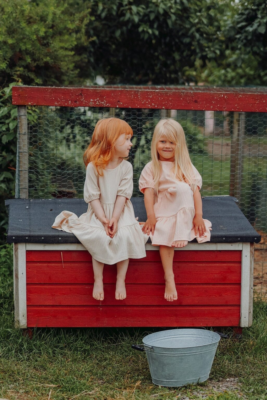 Wonders of Life -mallisto