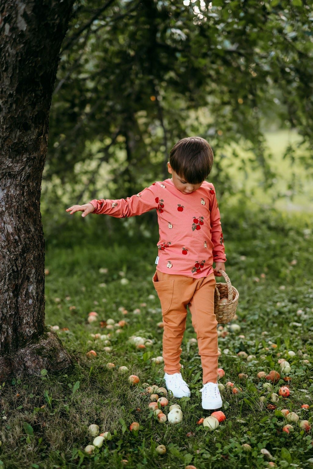 APPLE TREE RIB SHIRT | RASPBERRY Paita Kings of the Forest