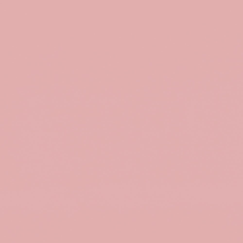 COLLEGE (HARJATTU) PEONY 2M | PEONY Kangas Kangaskarkelot