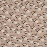Hedgehog 1M, Choco Kangas Kangaskarkelot