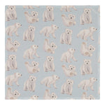 Muslin Cloth Double Pack | Icy Blue Harso Under the Same Moon Home