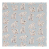 Muslin Cloth Double Pack | Icy Blue Harso Under the Same Moon Home
