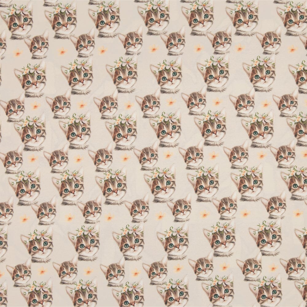 SINGLE JERSEY LOVELY KITTEN 1M, OAT MILK Kangas Kangaskarkelot