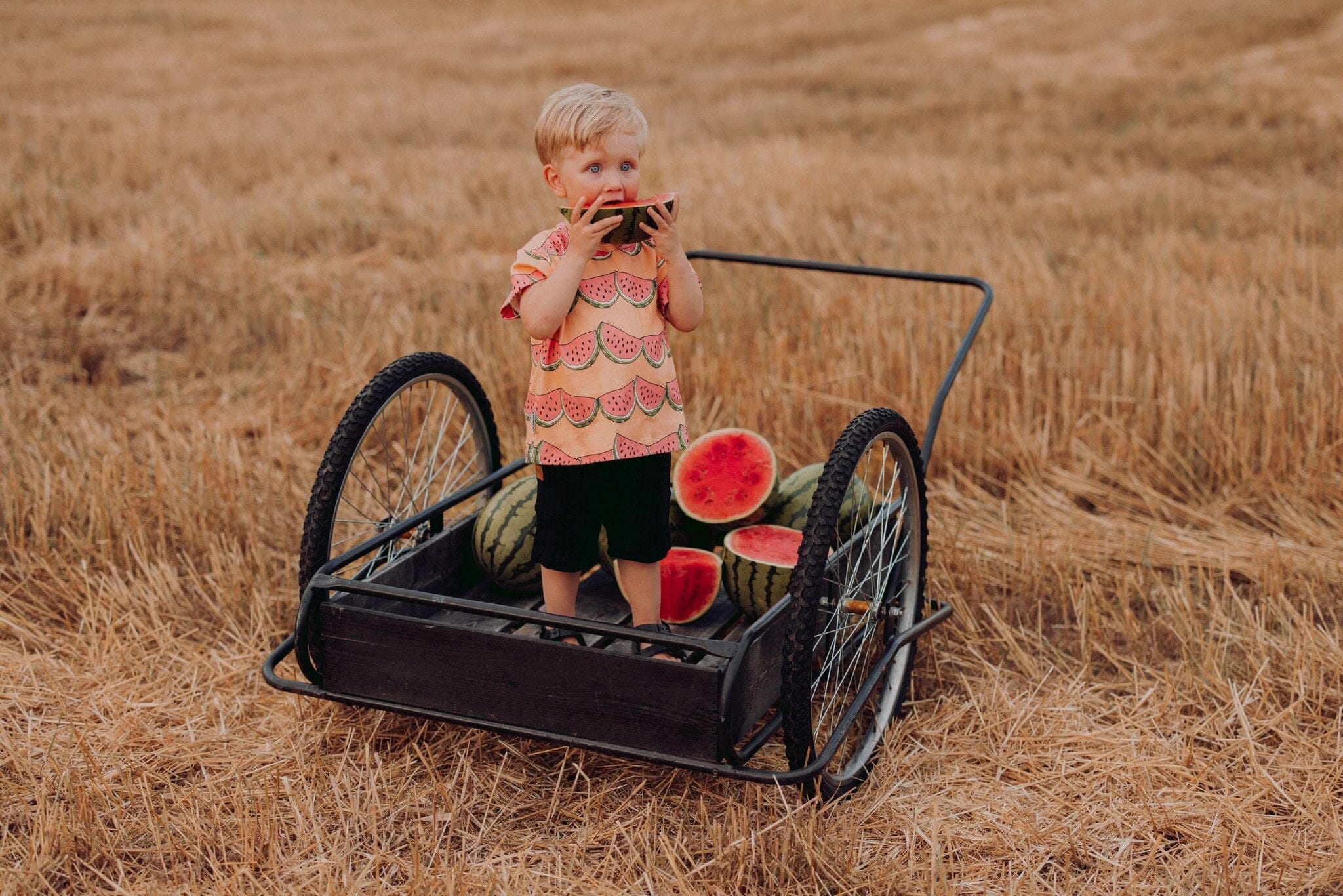 Wide Rib Shortsit | Licorice Shortsit Dancing In The Sunshine